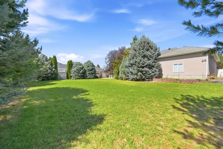 Expansive grassy yard with mature evergreen trees and a stucco exterior