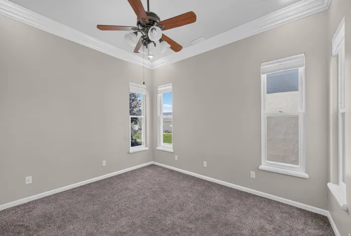 Tray ceiling with crown molding, wood-finish ceiling fan, multiple windows, and neutral carpet flooring