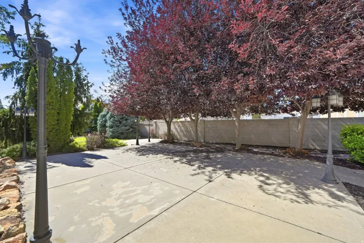 Expansive concrete patio with mature deciduous trees, privacy wall, decorative lampposts, and varied evergreen landscaping