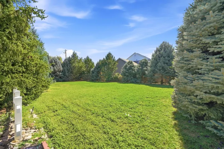 Expansive lawn area bordered by mature evergreen trees