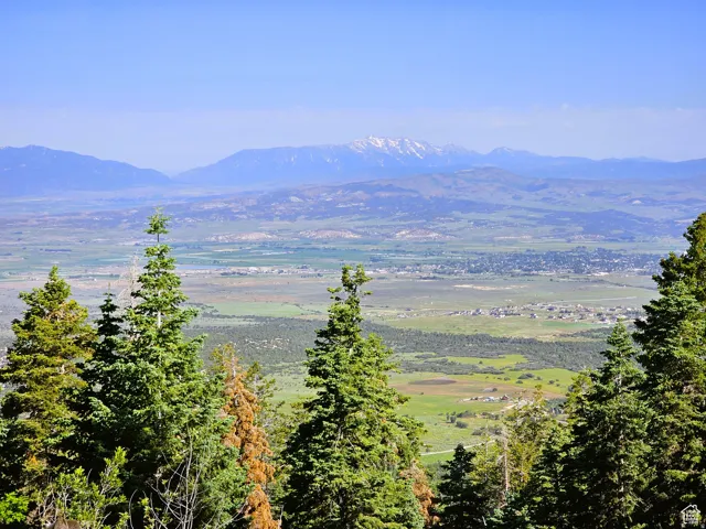Expansive valley backdrop with distant snow-capped mountains and evergreen trees