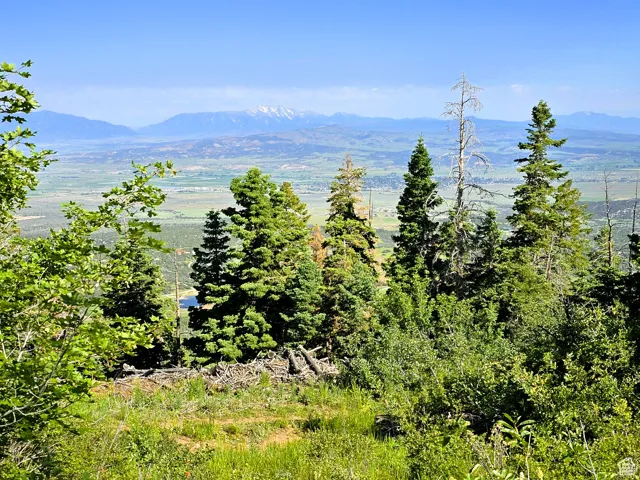 Expansive hilltop setting with mature coniferous and deciduous trees framing sweeping vistas of the valley floor and distant snow-capped peaks