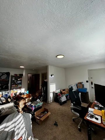 Dining room / Living area