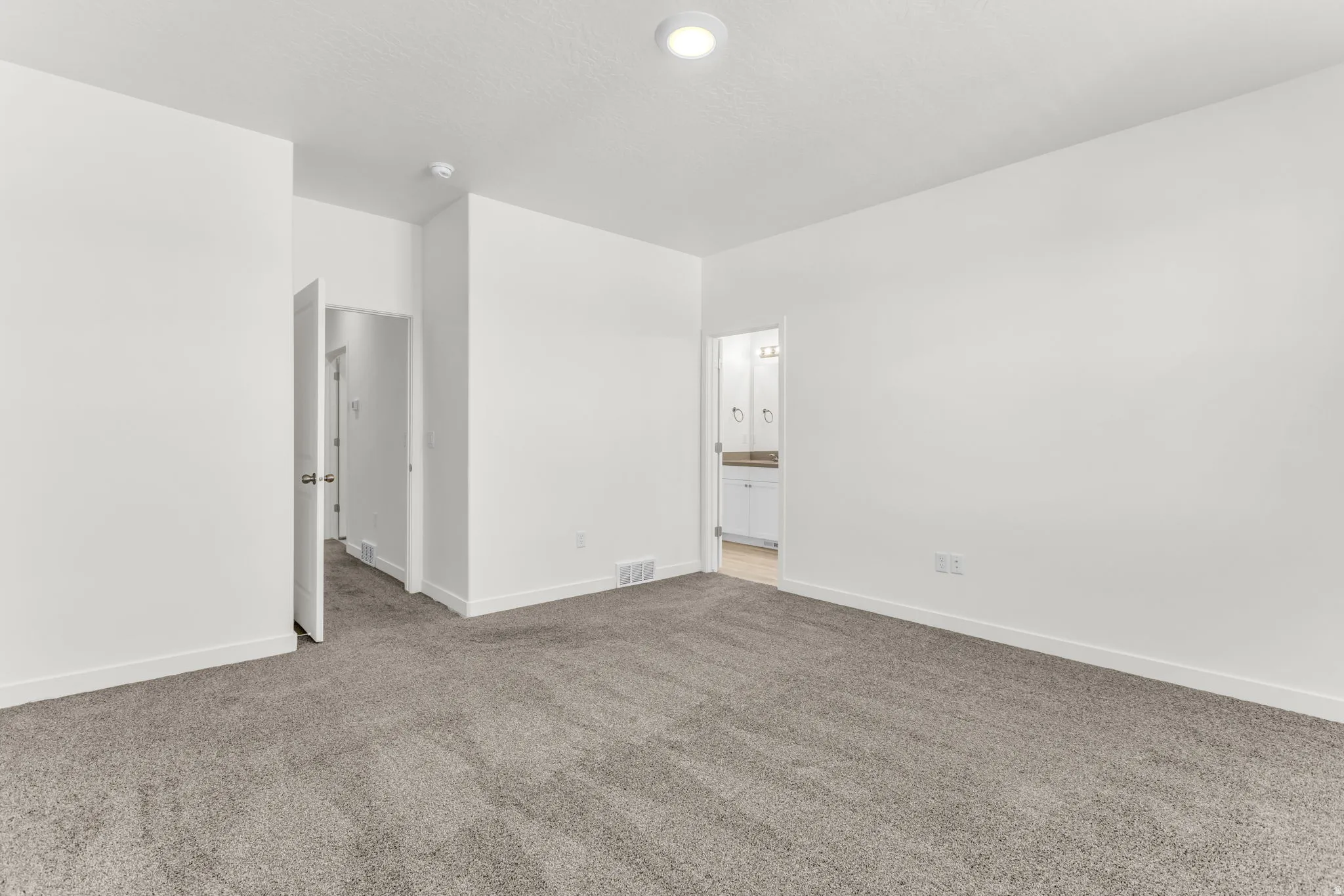 Plush gray carpeting, white painted walls, and ceiling-mounted lighting