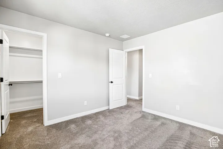 Neutral paint palette with textured carpeting, white trim, and a built-in closet system