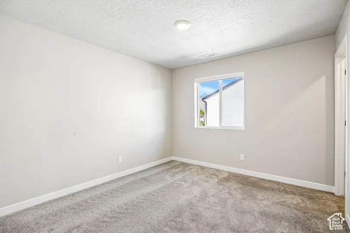 Light gray wall paint, gray carpeting, and a white trim