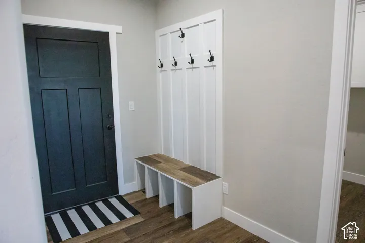 Dark paneled door with white trim, wood-finish flooring, and light neutral wall paint