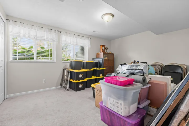 Carpeted bedroom with two windows featuring white blinds, a white door, and a flush-mount light fixture
