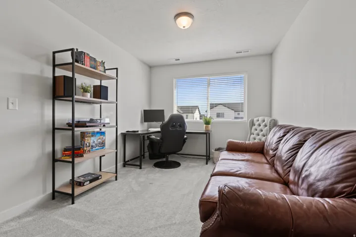 Light paint, light carpet, large window with blinds, ceiling-mounted light fixture