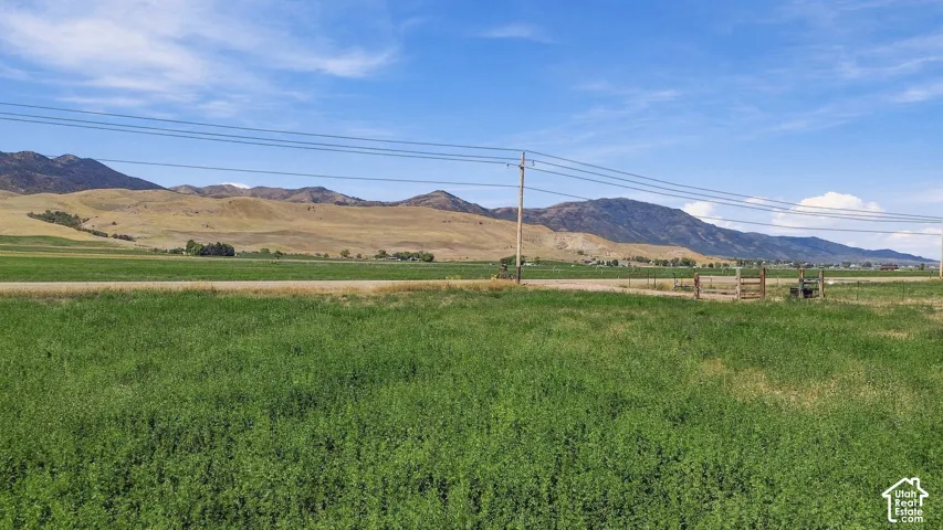 Expansive green field with distant mountains and a clear sky