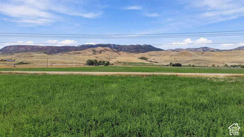 Expansive green field with a distant mountain range and clear blue sky