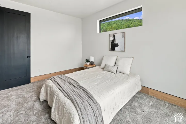 Minimalist interior space featuring neutral wall-to-wall carpeting, wood-finish trim, a solid-core black door, and a horizontal clerestory window