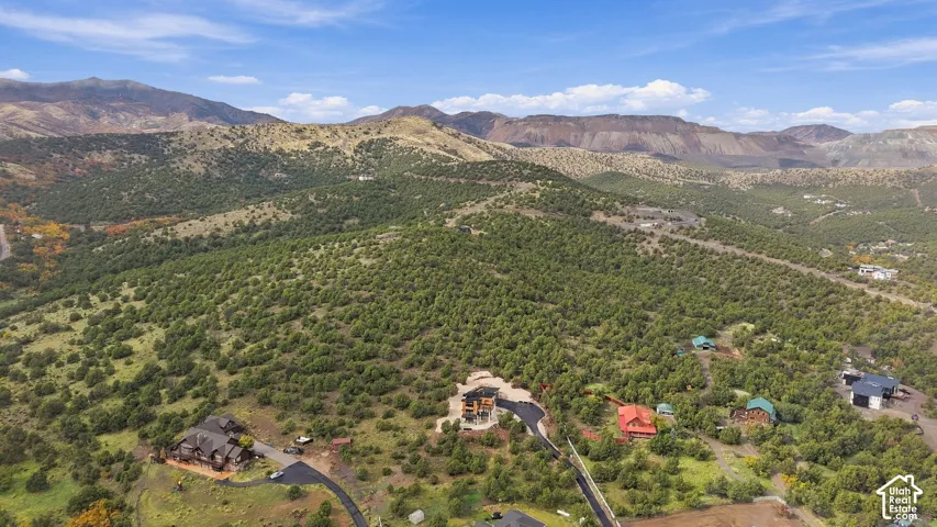 Aerial perspective of residential properties featuring expansive mountainous topography, dense evergreen vegetation, and paved private access roads
