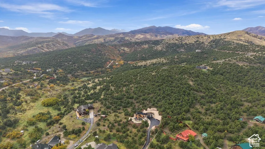 Aerial perspective featuring mountainous terrain, expansive forest canopy, paved private driveways, and custom residential structures