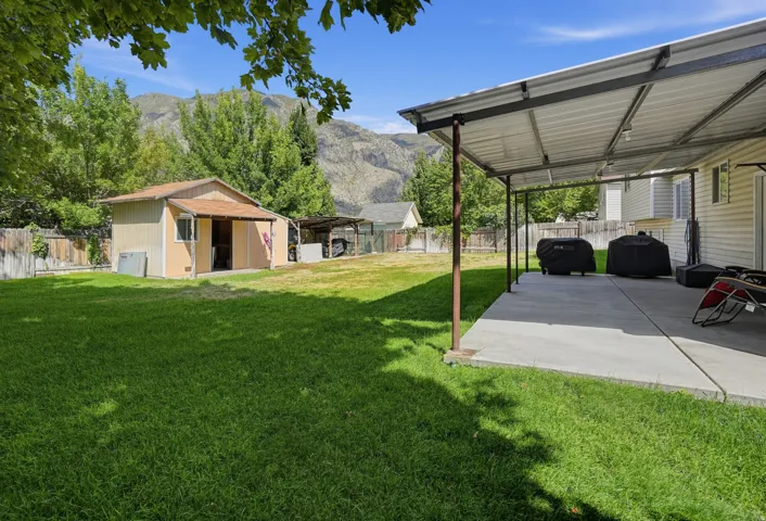 Large backyard