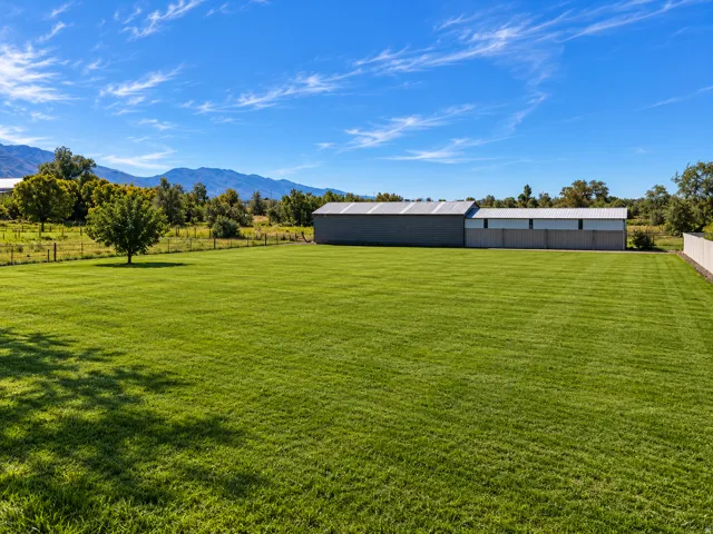 Expansive grassy area with a small tree and mountain backdrop