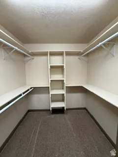 Built-in shelving with multiple rods and shelves, complemented by neutral-toned walls and carpet flooring