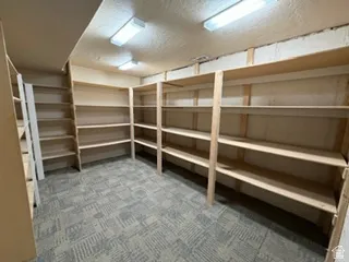 Extensive built-in shelving, durable carpet flooring, and integrated overhead lighting