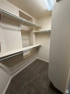 Walk-in closet featuring multiple shelving units, hanging rods, and carpet flooring