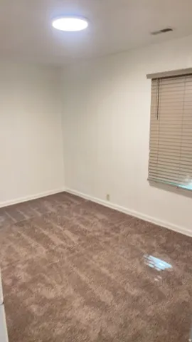 Brown carpeted flooring with white baseboards, a window with horizontal blinds, and a flush-mount ceiling light fixture