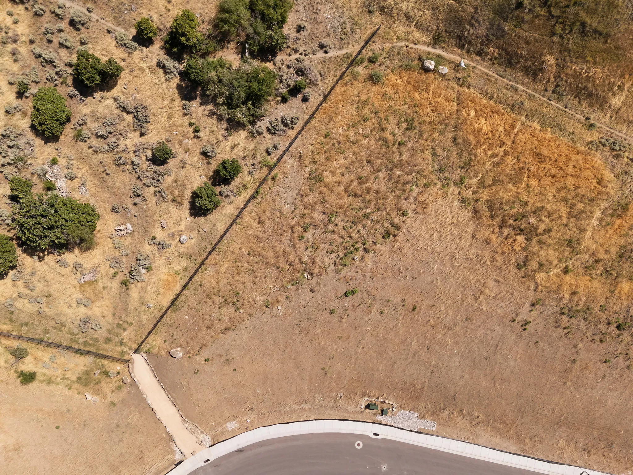 Undeveloped lot featuring a paved road, a gravel path, and natural landscaping with mature trees