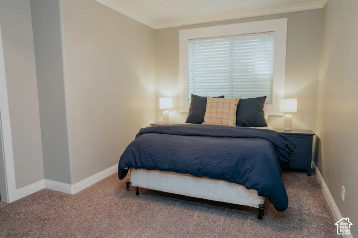 Plush carpet flooring, neutral paint tones, crown molding, and a window with blinds