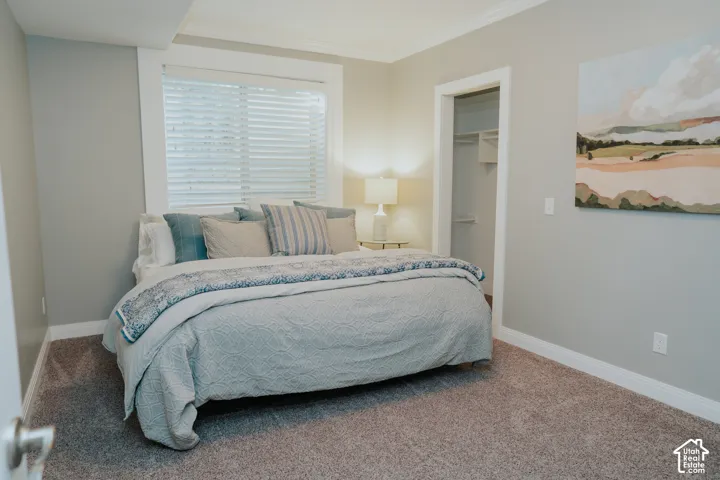 Carpeted room featuring a single window with blinds, white trim, and a closet with built-in shelving