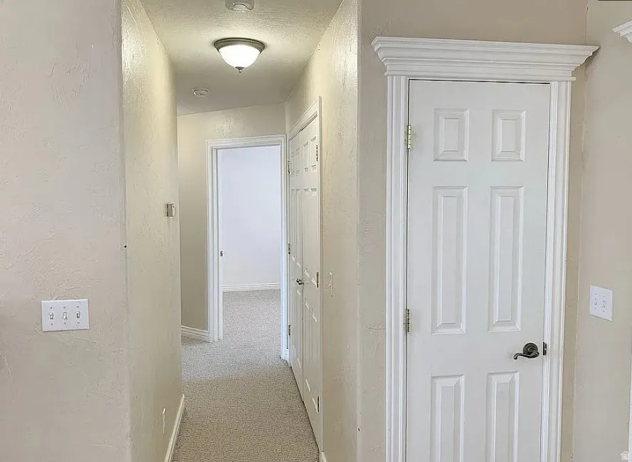 Hallway with neutral wall finish and carpet flooring