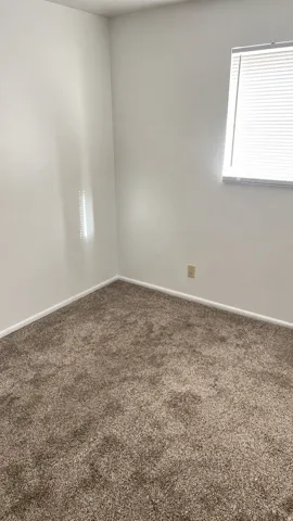 Neutral wall color with plush carpeting and natural light from a window with blinds