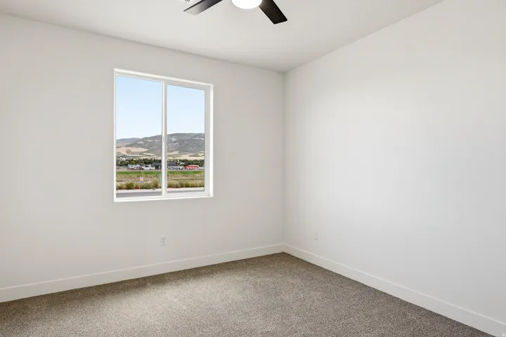 White walls, gray carpet, and a ceiling fan