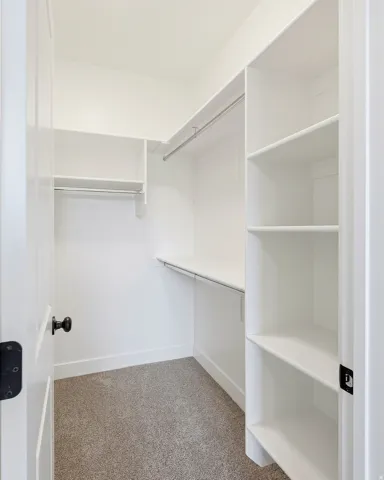 Walk-in closet featuring built-in shelving, dual hanging rods, and a neutral carpet