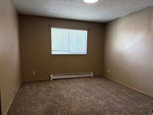 Carpeted flooring, neutral wall paint, window with blinds, ceiling-mounted light fixture, baseboard heating unit