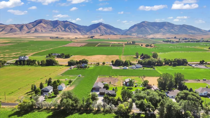 Expansive agricultural fields, distant mountain range, scattered residential structures, and mature trees