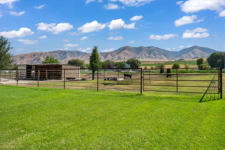 Expansive grassy pasture with metal fencing, an outbuilding, and distant mountains