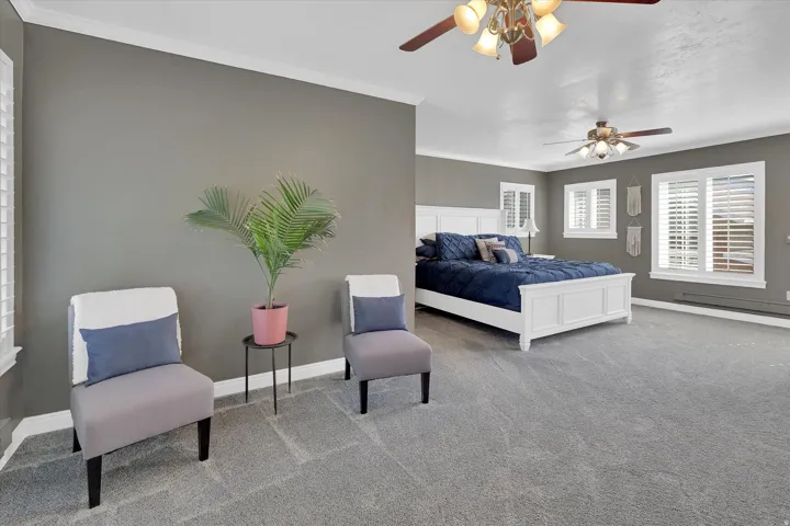 Grey wall paint with white crown molding