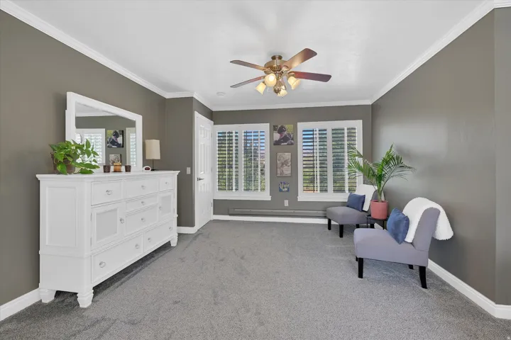 Spacious primary suite featuring neutral gray walls, recessed ceiling detail with ceiling fan, plantation shutters across expansive windows, white dresser with mirror, and neutral carpeting throughout