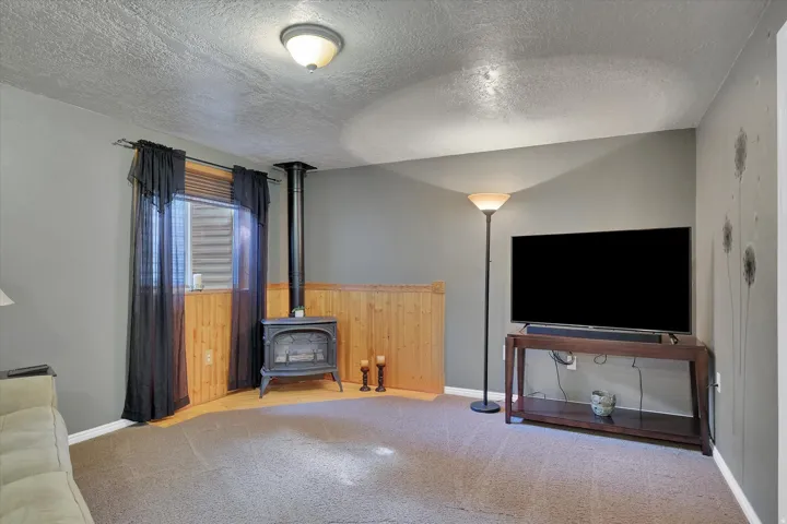 Living area featuring a wood-burning stove, wood-finish wainscoting, and carpet flooring