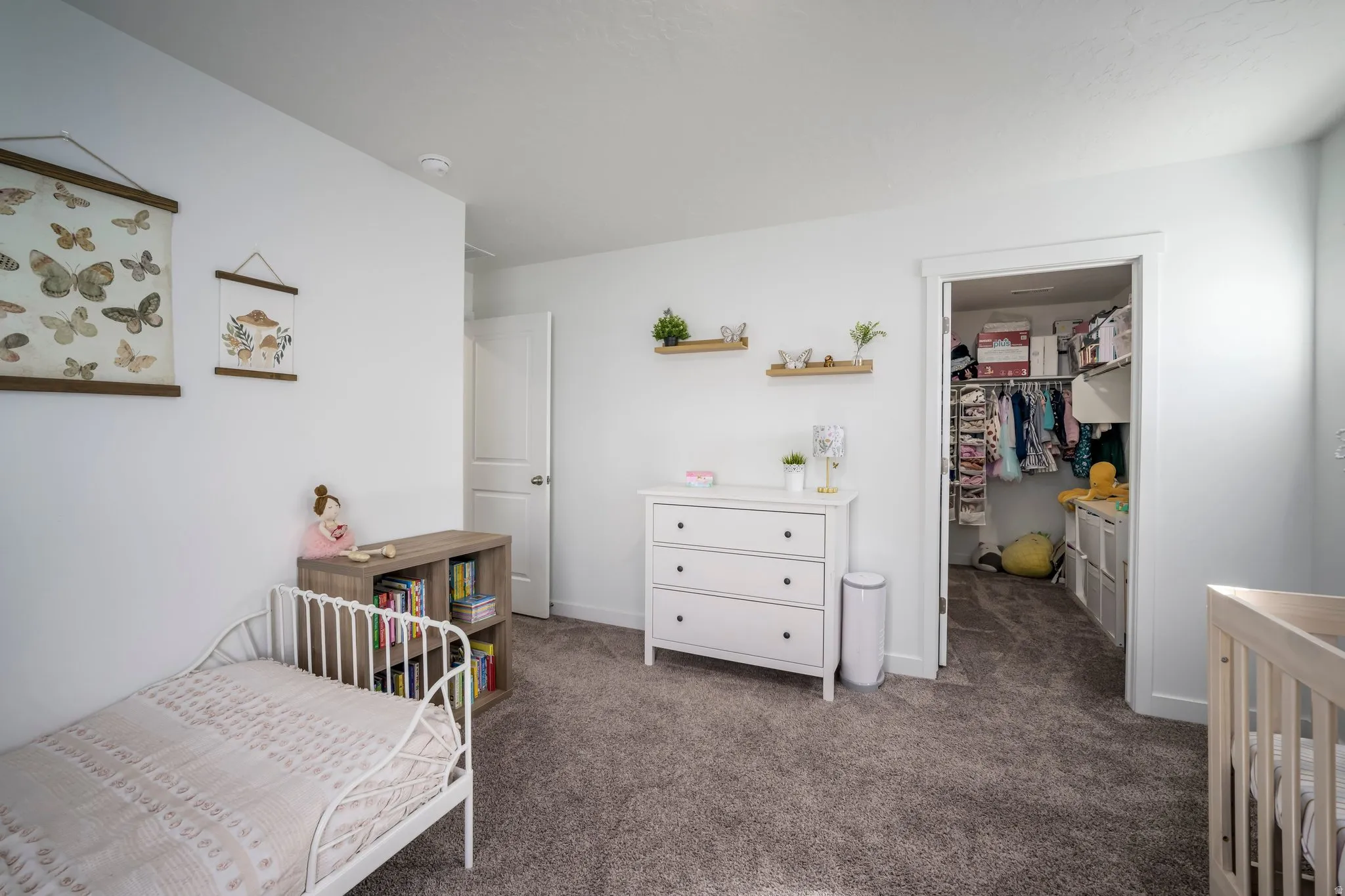 Plush carpeting, bright white walls, built-in closet organization, and a solid core interior door
