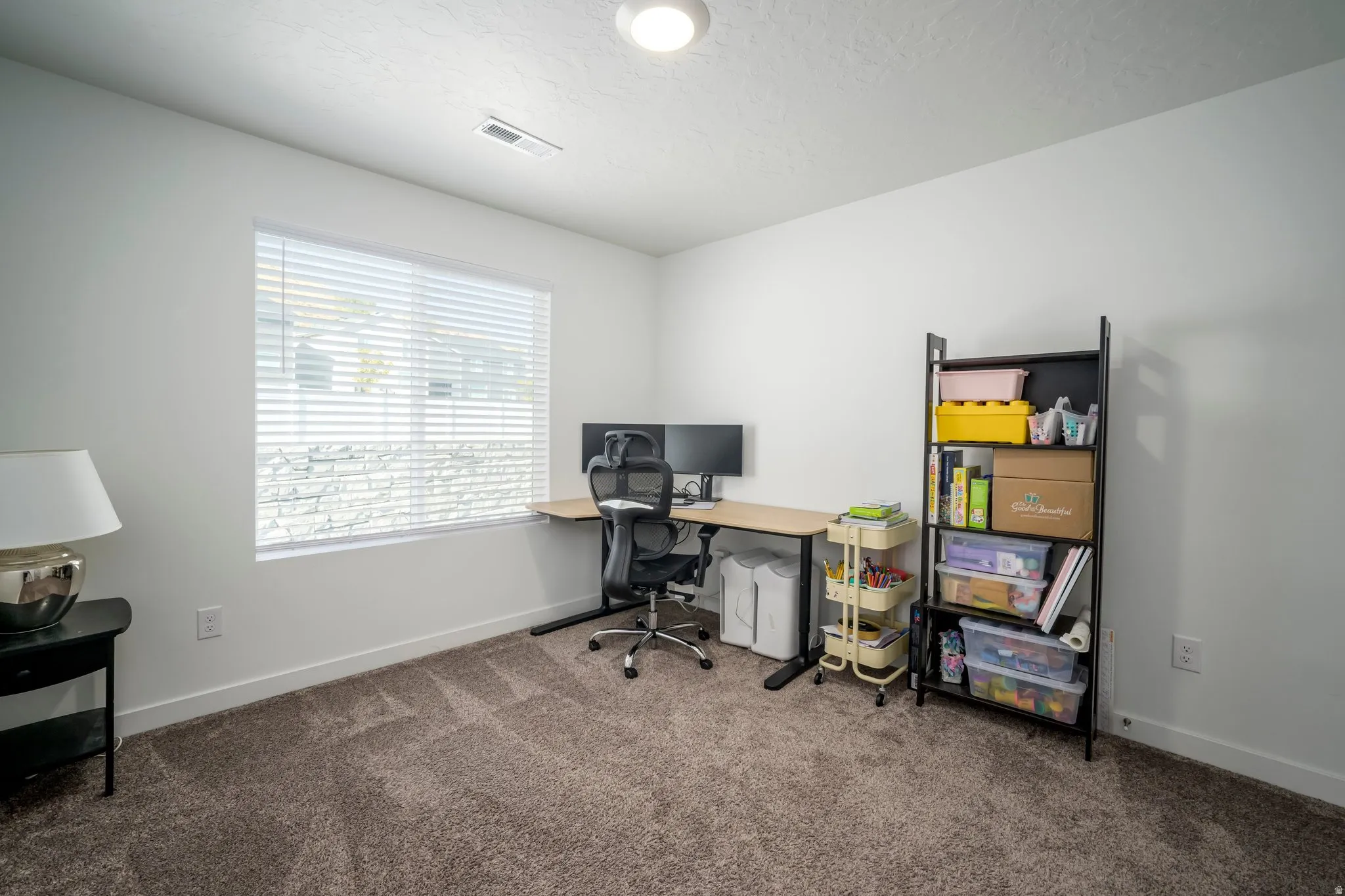 Neutral wall finishes, textured carpeting, and window blinds