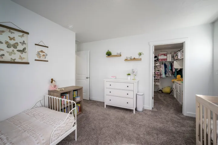 Plush carpeting, bright white walls, built-in closet organization, and a solid core interior door
