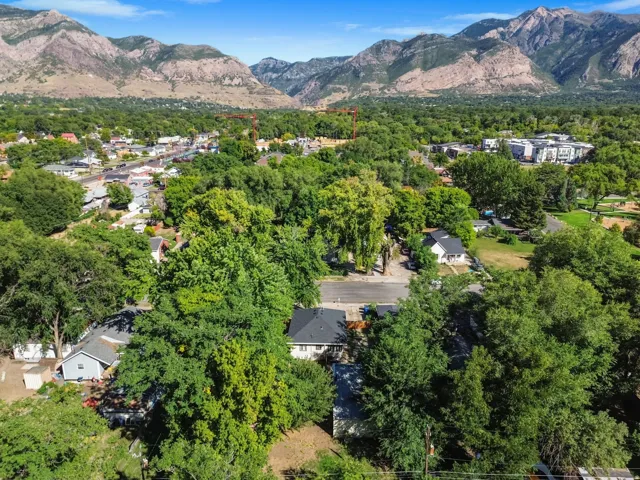 Mature tree-lined neighborhood with mountain backdrop