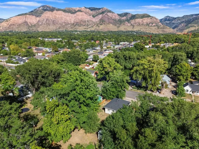 Expansive mountain backdrop with a lush, tree-filled landscape