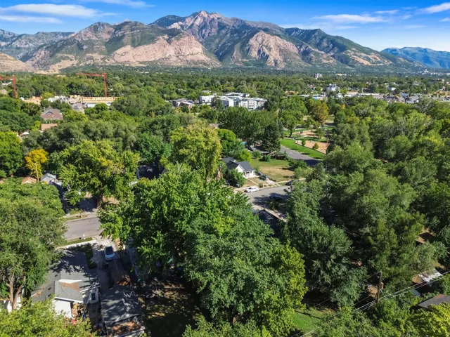 Mountain backdrop with lush green trees