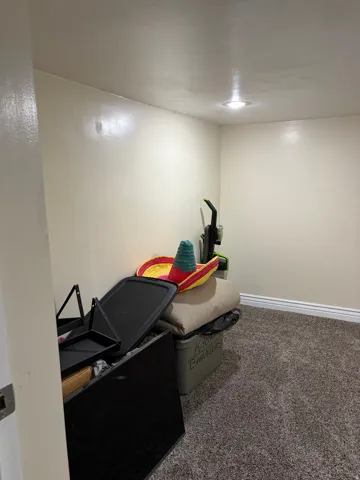 Recessed ceiling lighting with a neutral painted finish, light-toned carpeting, and white baseboards