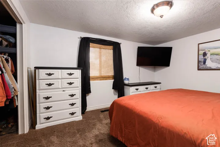 Carpeted room with a ceiling-mounted light fixture, window with blinds, and a built-in closet with shelving
