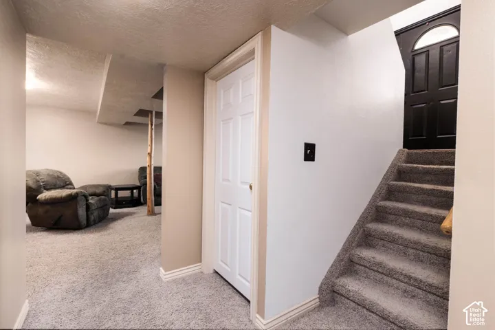 Carpeted staircase with a paneled black door and arched transom window