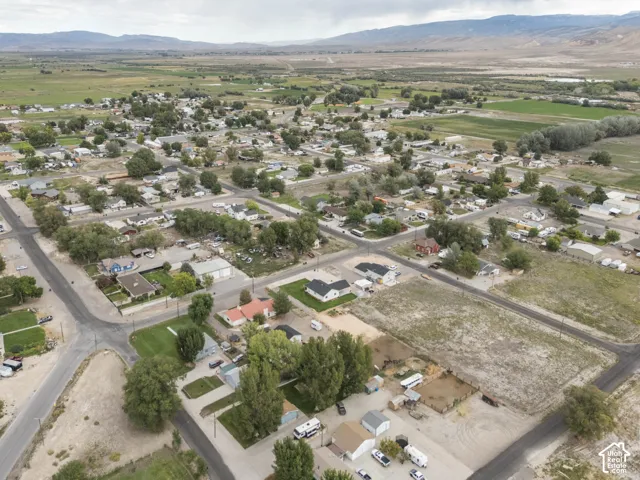 Expansive aerial overview of a residential area with dispersed trees