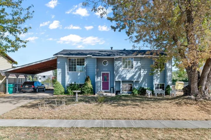 Light blue exterior siding, multi-pane windows, carport, and mature trees
