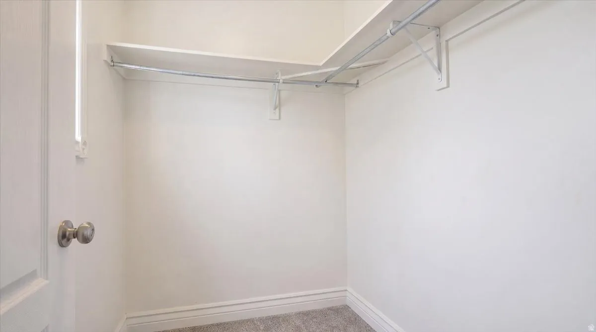 Walk-in closet with carpet flooring, white walls, and built-in shelving and hanging rods