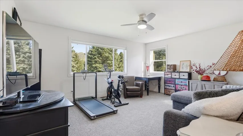 Spacious room with light-colored carpeting, multiple windows, and a ceiling fan with integrated lighting